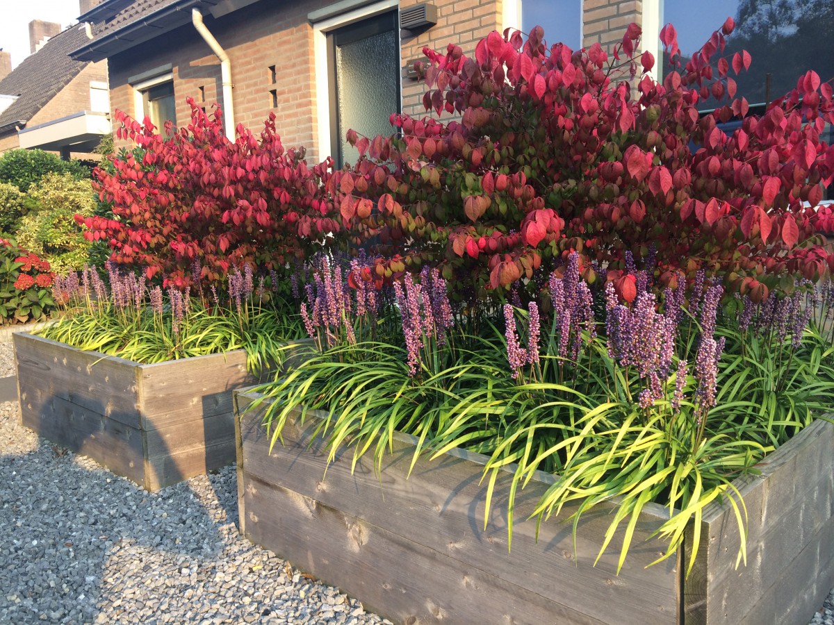 Beplanting en - Rooijakkers Tuin Park