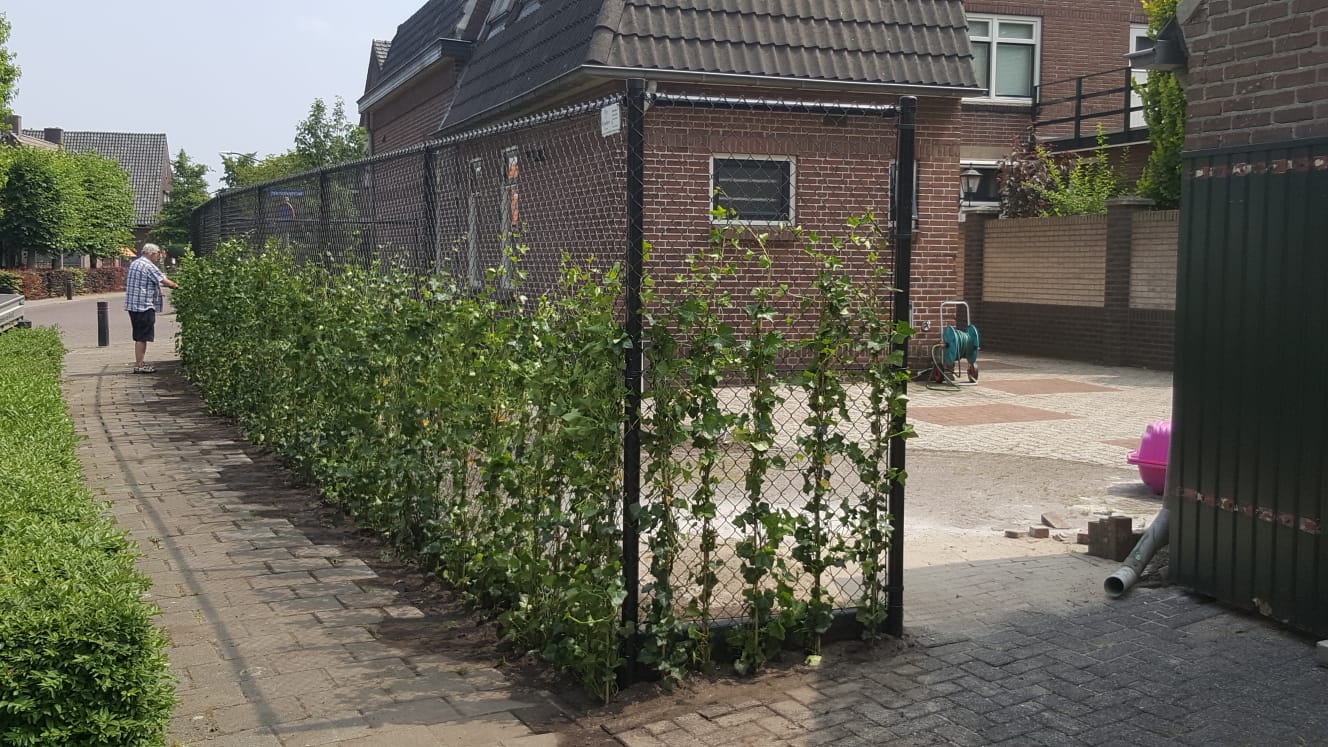 Haag plaatsen erfafscheiding