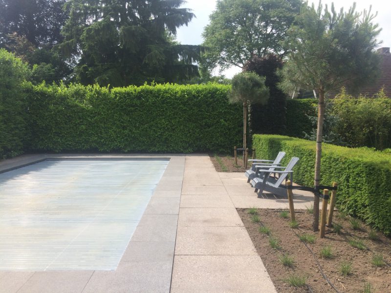 Tuin renovatie Vught